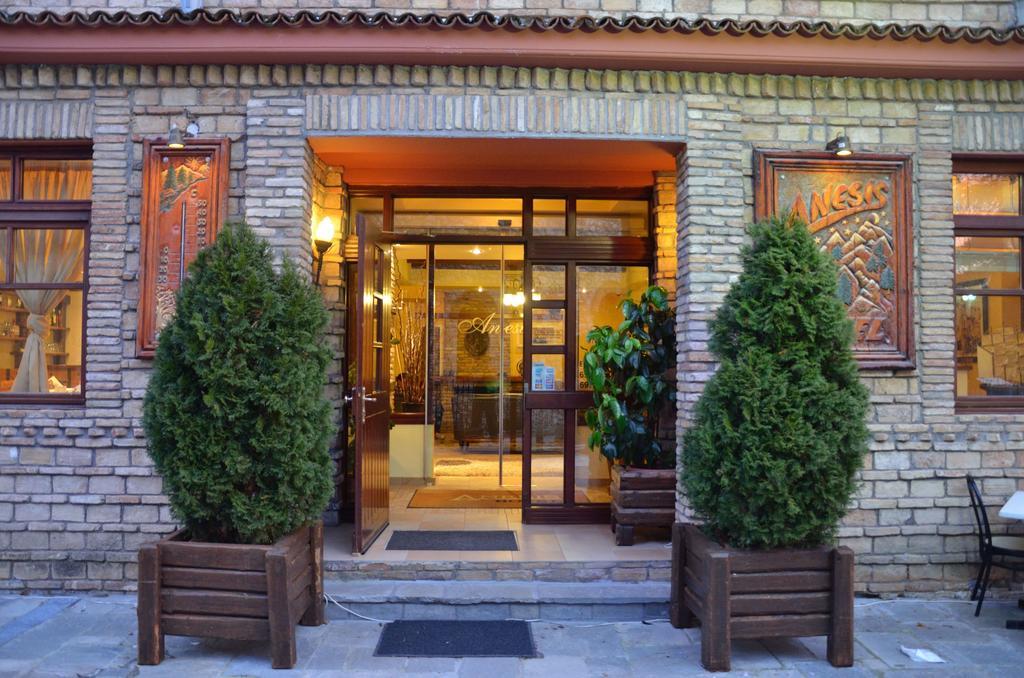 Anesis Hotel Kalavryta Exteriör bild
